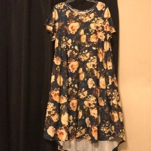 Lularoe Carley xl